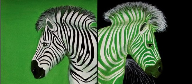 Zöld Zebra Állat- és Természetvédő Egyesület