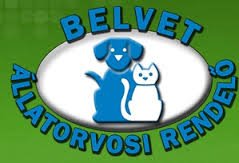 Belvet Állatorvosi Rendelő