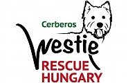 Westie Rescue Hungary