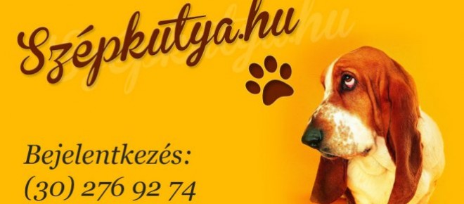 Szépvölgyi Kutyakozmetika