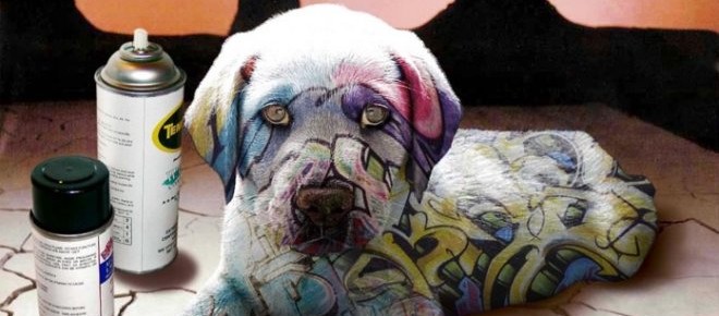 Graffiti art