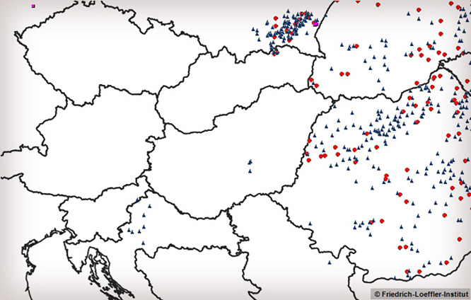 Eddigi veszettség esetek 2013-ban. A piros szín a háziállatokat, a kék a vadállatokat, a lila a denevéreket jelzi.